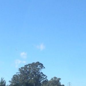 Meet your Posher, Thái